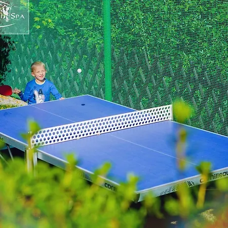 Апарт-отель Karkonoski