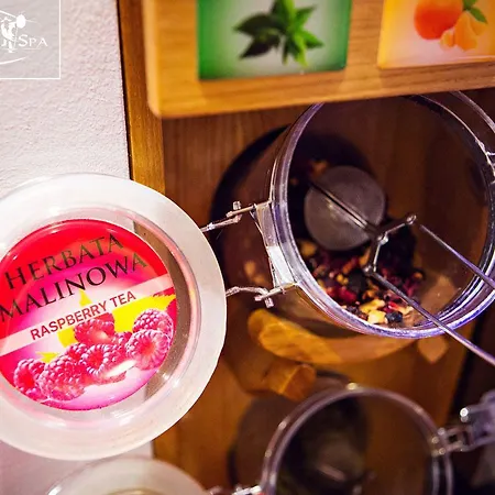 Karkonoski 公寓式酒店