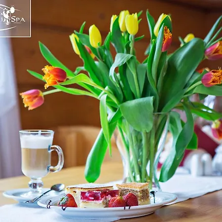 Karkonoski 公寓式酒店