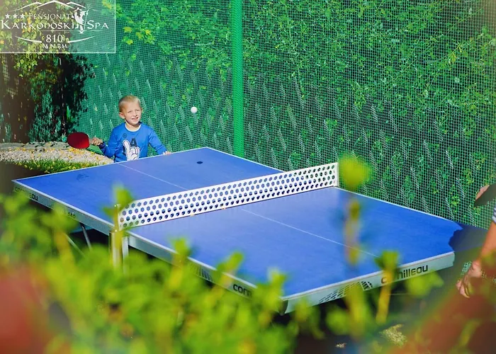 Apartahotel Karkonoski